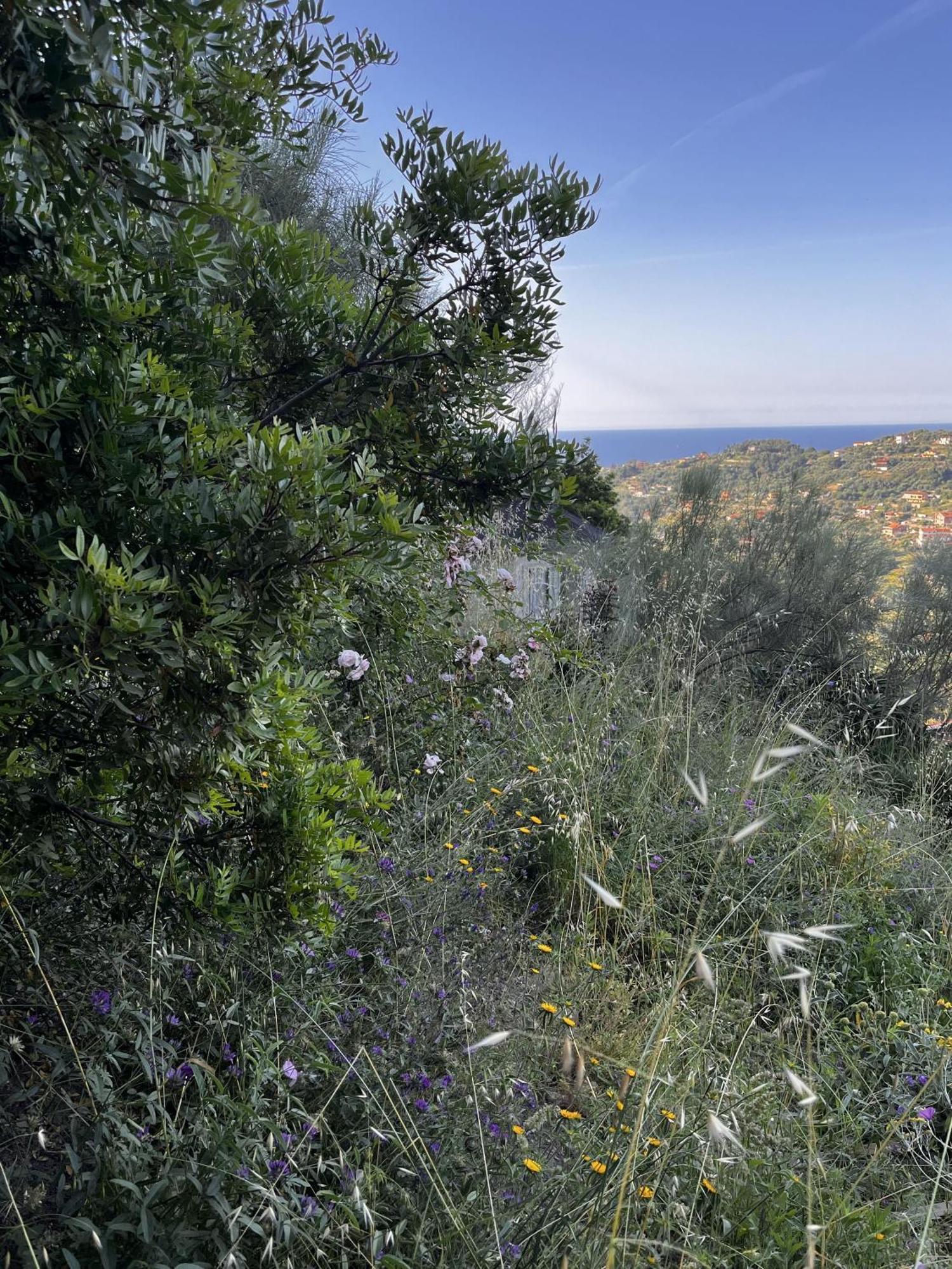 D'artisti Sanremo